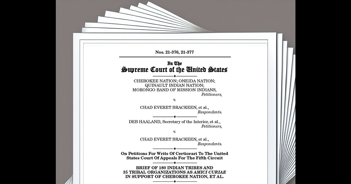 appellate brief cover