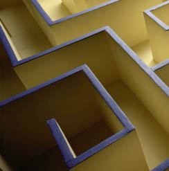 Maze