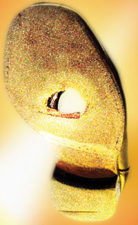 Hole in shoe