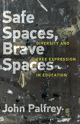 Safe Spaces, Brave Spaces